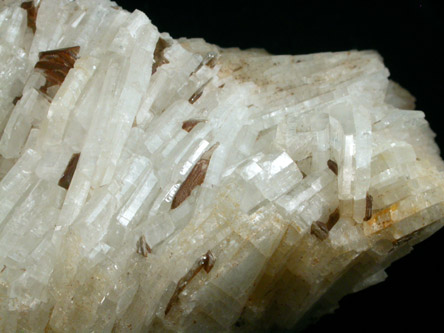 Albite, Quartz, Muscovite from (Palermo Mine), Groton, Middlesex County, New Hampshire