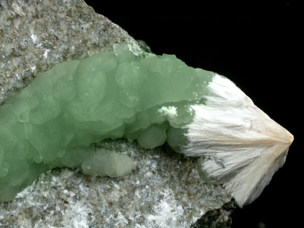 Prehnite, Pectolite, Laumontite from Bergen Hill, Hudson County, New Jersey