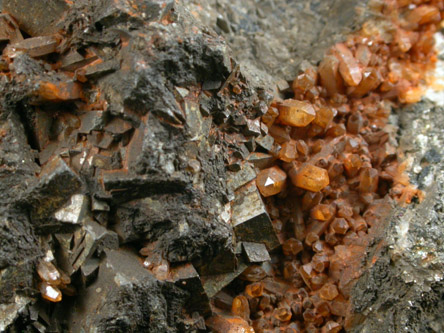 Pyrite and Quartz from Poughkeepsie, Dutchess County, New York