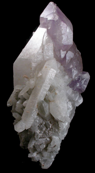 Quartz var. Amethyst overgrown on Milky Quartz from Deer Hill, Stow, Oxford County, Maine