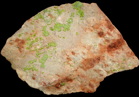 Autunite on sandstone from Utah