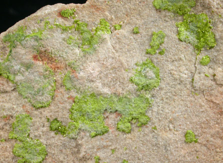 Autunite on sandstone from Utah