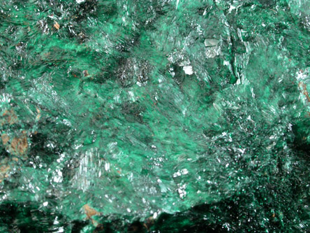 Atacamite from Copiapo, Atacama Desert, Chile (Type Locality for Atacamite)