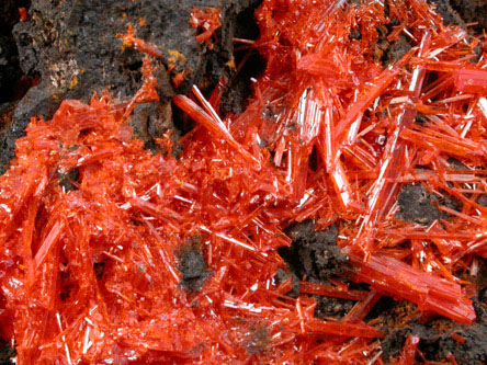 Crocoite from Adelaide Mine, Dundas, Tasmania, Australia