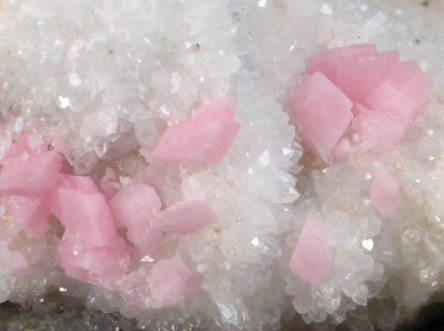 Rhodochrosite on Quartz from Silverton District, San Juan County, Colorado