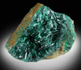 Atacamite from Mina la Farola, Copiapo, Atacama Desert, Chile (Type Locality for Atacamite)