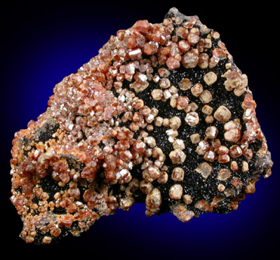Vanadinite and Descloizite from (Mammoth District?), Pinal County, Arizona