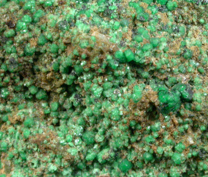 Grossular Garnet on Diopside from Wakefield Township, Qubec, Canada