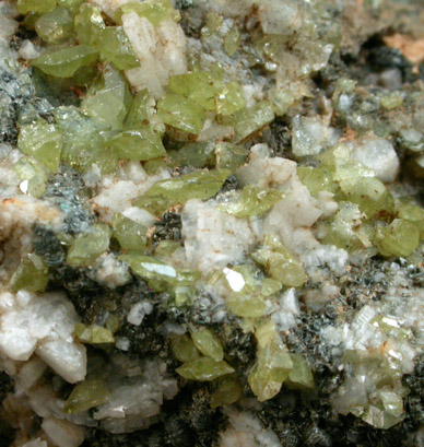 Titanite, Albite, Clinochlore var. Ripidolite from Pfitschtal, Southern Tyrol, Italy