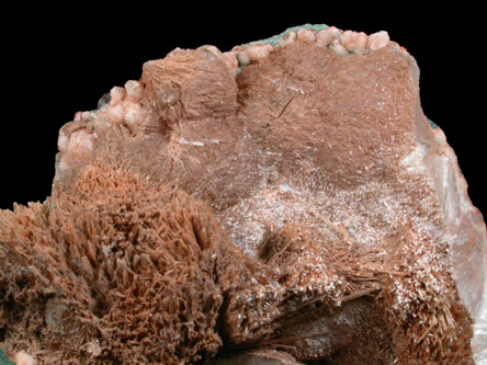 Thomsonite, Natrolite, Analcime from Cape Blomidon, Nova Scotia, Canada