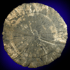 Pyrite var. Pyrite Sun from Sparta District, Randolph County, Illinois