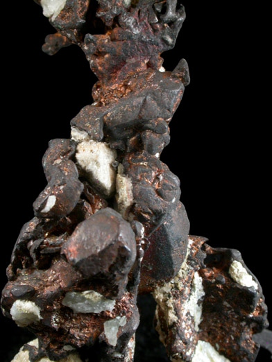 Copper (crystallized) from Keweenaw Peninsula Copper District, Michigan