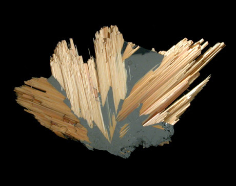 Rutile and Hematite from Novo Horizonte, Bahia, Brazil