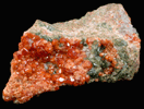 Grossular Garnet with Diopside from Val d'Ala, Piemonte, Italy