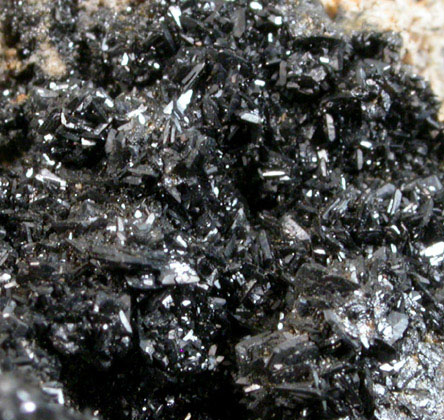 Mottramite var. Cuprodescloizite from Goodsprings District, Clark County, Nevada