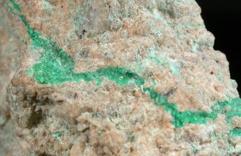 Natrochalcite from Chiquicamata, Antofagasta, Chile (Type Locality for Natrochalcite)