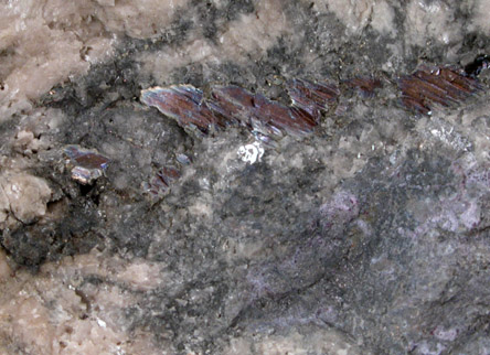 Bismuth with Skutterudite var. Smaltite from Cobalt District, Ontario, Canada