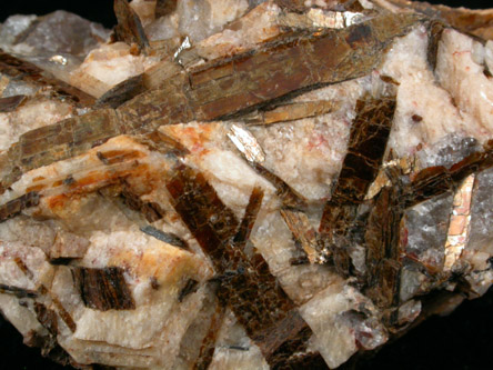 Astrophyllite from St. Peter's Dome, El Paso County, Colorado