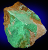 Variscite from Mauldin Mountain, Montgomery County, Arkansas