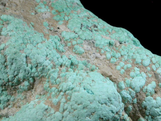 Turquoise from Kingman District, Mohave County, Arizona