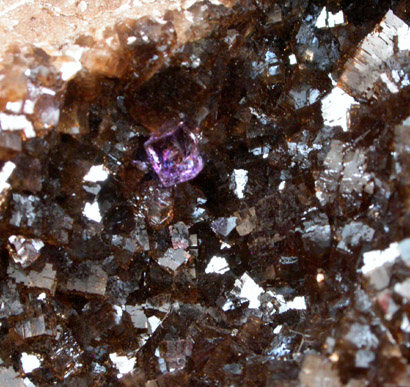 Fluorite from Auglaize Quarry, Junction, Paulding County, Ohio