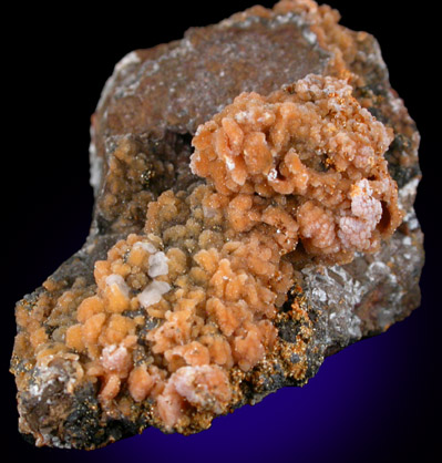 Descloizite with druzy Quartz coating from Finch Mine (Barking Spider Mine), north of Hayden, Banner District, Gila County, Arizona