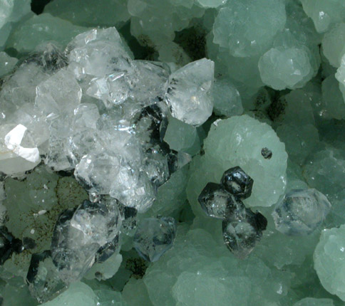 Apophyllite on Prehnite from O and G Industries Southbury Quarry, Southbury, New Haven County, Connecticut