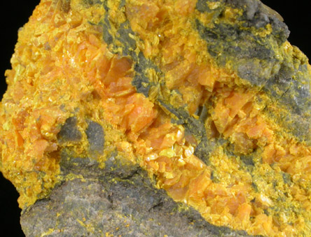 Orpiment from Getchell Mine, Humboldt County, Nevada