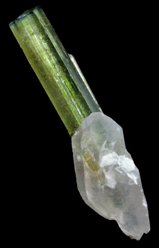 Elbaite Tourmaline on Quartz from Paprok, Kamdesh District, Nuristan Province, Afghanistan