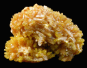 Pyromorphite from Bunker Hill Mine, Coeur d'Alene District, Shoshone County, Idaho