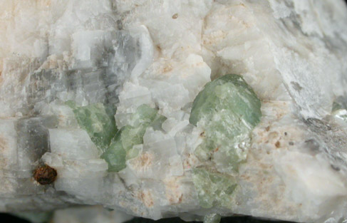 Edenite from Edenville, Orange County, New York (Type Locality for Edenite)