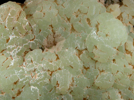 Prehnite from New Street Quarry, Paterson, Passaic County, New Jersey