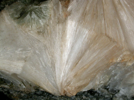 Pectolite from Erie Railroad Cut (1909), Bergen Hill, Hudson County, New Jersey