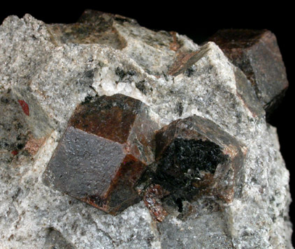 Almandine Garnet from Green's Farm, 750 m. ESE of Roxbury Falls, Roxbury, New Haven County, Connecticut