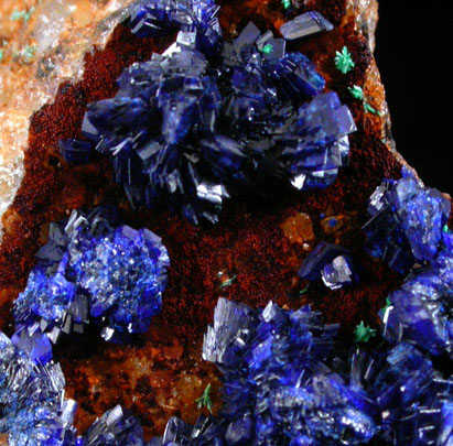 Azurite from Morenci Mine, Clifton District, Greenlee County, Arizona