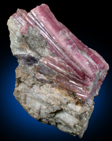Elbaite var. Rubellite Tourmaline with Lepidolite, Albite from Black Mountain, Andover, Oxford County, Maine