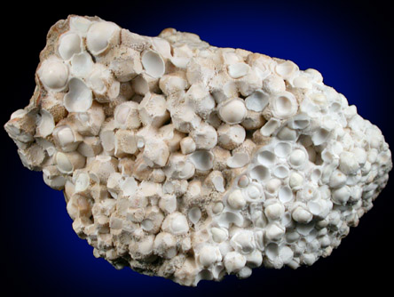 Calcite var. Oolites from Carlsbad, Bohemia, Czech Republic