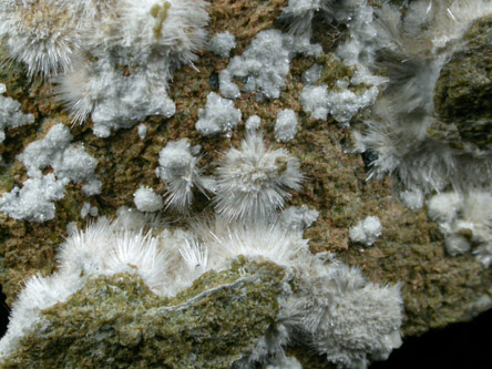 Hydromagnesite and Magnesite on Serpentine from Castle Point (Stevens Bluff), Hoboken, (west shore of Hudson River opposite NYC) Hudson County, New Jersey (Type Locality for Hydromagnesite)