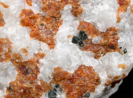 Chondrodite with Magnetite from Tilly Foster Iron Mine, near Brewster, Putnam County, New York