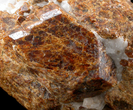 Andradite Garnet var. Polyadelphite with Calcite from Franklin Mining District, Sussex County, New Jersey