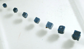 Boleite - set of seven crystals from Amelia Mine, Boleo District, near Santa Rosalia, Baja California Sur, Mexico (Type Locality for Boleite)