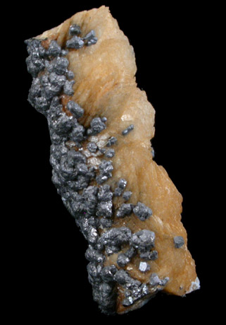 Galena on Siderite stalactite from White Raven Mine, Ward District, California Gulch, Boulder County, Colorado