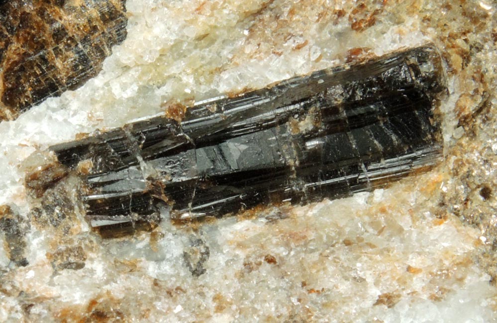 Dravite-Uvite Tourmaline in Inwood Marble from northwest corner of 207 Street and Broadway, Manhattan Island, New York City, New York County, New York