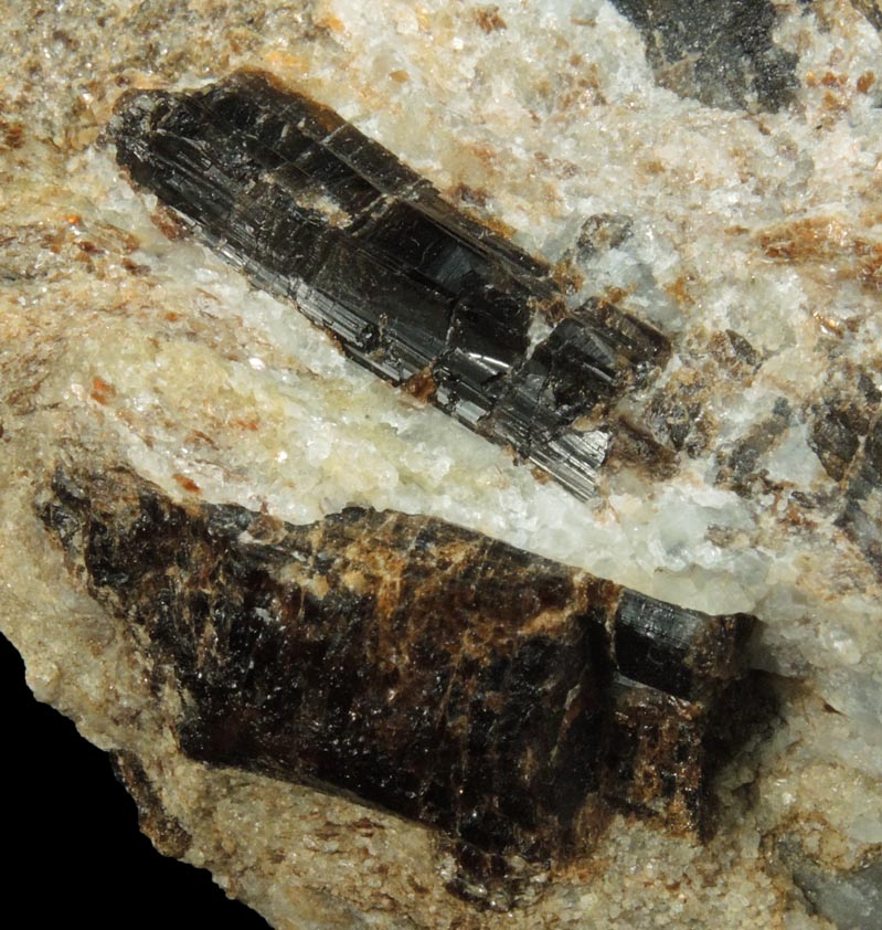 Dravite-Uvite Tourmaline in Inwood Marble from northwest corner of 207 Street and Broadway, Manhattan Island, New York City, New York County, New York