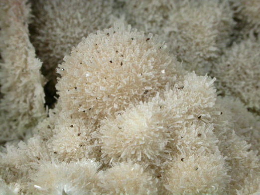 Pectolite, Datolite, Prehnite from Millington Quarry, Bernards Township, Somerset County, New Jersey