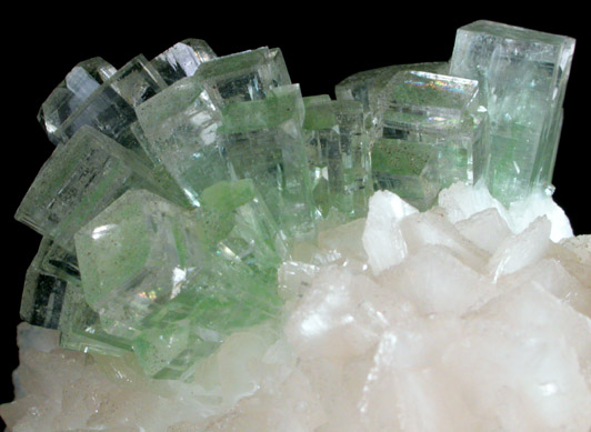 Apophyllite on Stilbite from Momin Akhada, near Rahuri, 50 km north of Ahmednagar, Maharashtra, India (Type Locality for Collected ca. 2001)