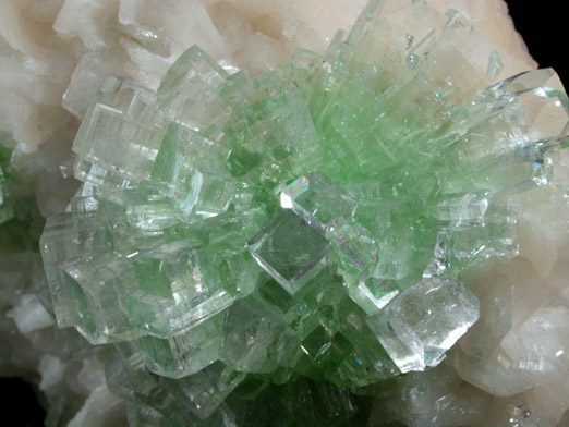 Apophyllite on Stilbite from Momin Akhada, near Rahuri, 50 km north of Ahmednagar, Maharashtra, India (Type Locality for Collected ca. 2001)