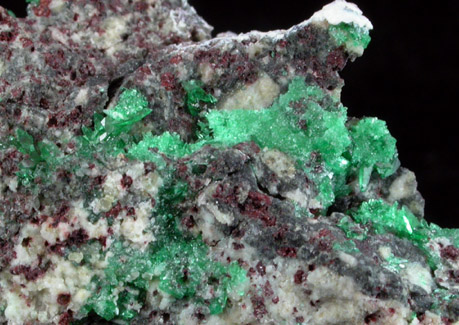 Natrochalcite from Santaquina, Sierra Gorda, near Chuquicamata, Antofagasta, Chile (Type Locality for Natrochalcite)