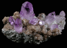 Quartz var. Amethyst from Piedra Parada, near Las Vigas, Tatatila, Veracruz, Mexico