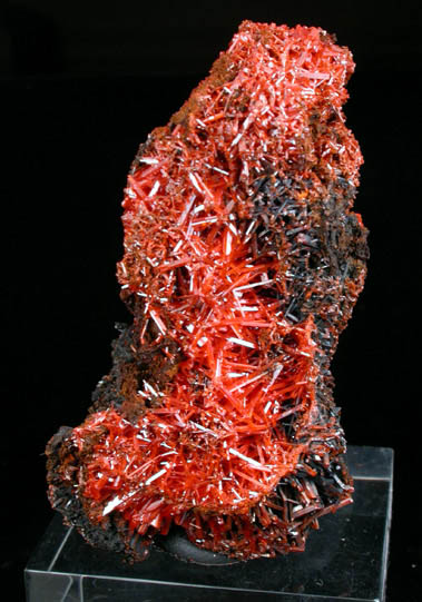 Crocoite from Kapie Mine, Dundas, Tasmania, Australia